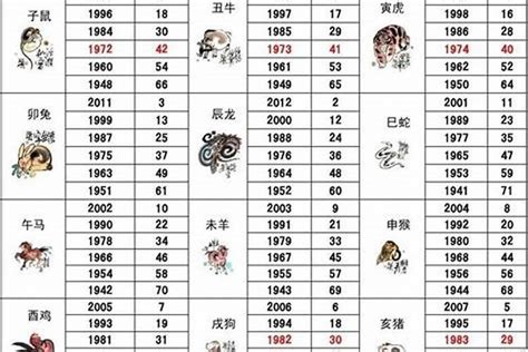 60年屬什麼|1960年出生属什么生肖 1960年属鼠是什么命